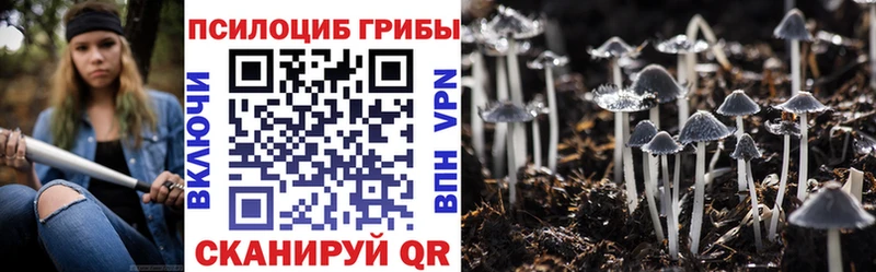 Псилоцибиновые грибы Magic Shrooms  Купить где  Самара 